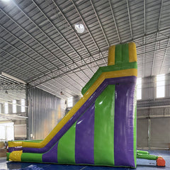 NB-SL030 Purple tropical waterslide combo bounce house inflatable water slide with pool bounce house water slides inflat slide