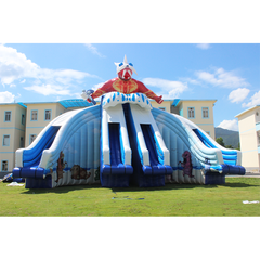 NB-SL035 Commercial Kids Double Lane Water Slide Inflatable Water Slides Pools For Sale