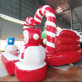 NB-BC065 Popular jump house inflatable bouncer inflatable bouncer castle bouncy castle Commercial inflatable bouncer