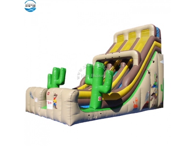 NBSL-1009 Cactus inflatable plants slide for kids and adults