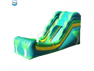NBSL-1011 Inflatable land slide with climbing ladder