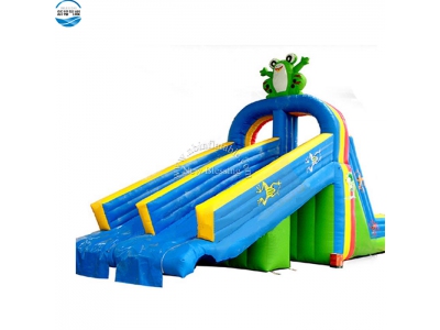 LW27 inflatable water slide frog animal