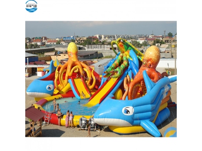 LW51 sea animals inflatable water slide combo