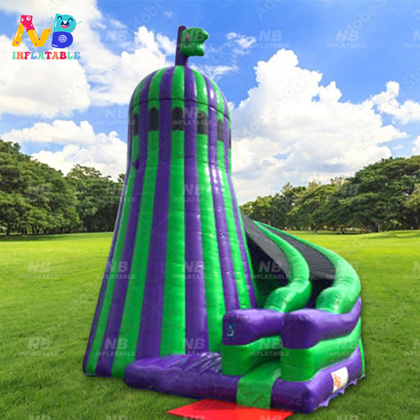 NB-SL019 Commercial pvc double lane inflatable slide dry water slide backyard inflatable slides